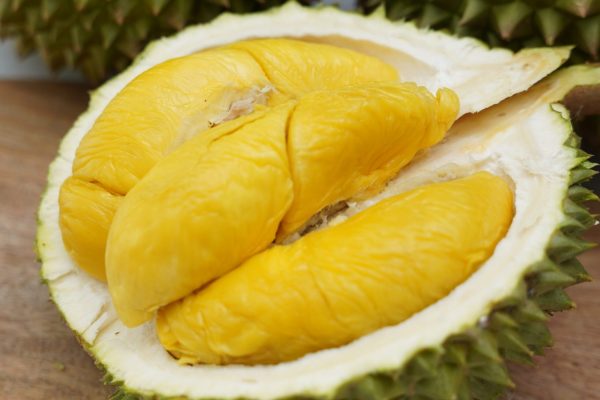 Nhờ có thành phần dinh dưỡng cao cùng hương vị đặc trưng mà sầu riêng được mệnh danh là “vua” của mọi loại trái cây